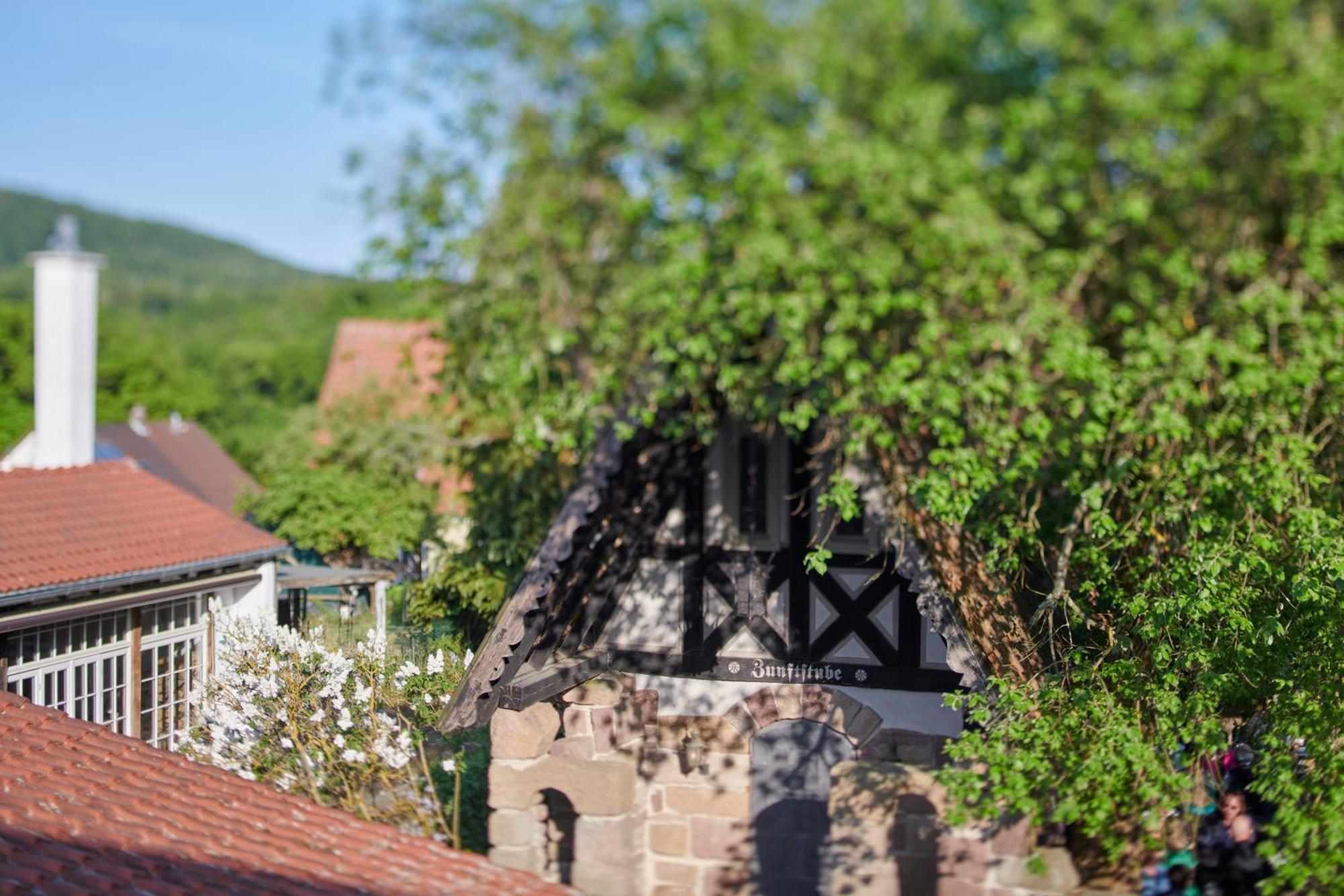 Hotel Der Grischaefer Bad Emstal 외부 사진